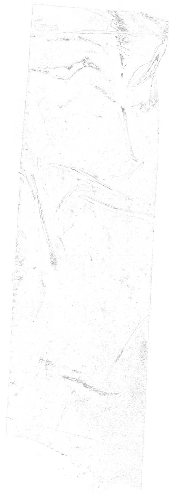 wrecked tapes transparent